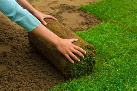 Sod Installation 